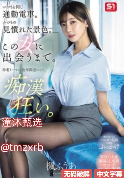 《蜜桃MV在线播放免费观看视频》在线观看完整版_bd影视手机在线...